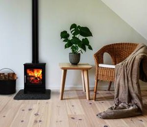 Saltfire Peanut 3 Wood Burning Stove